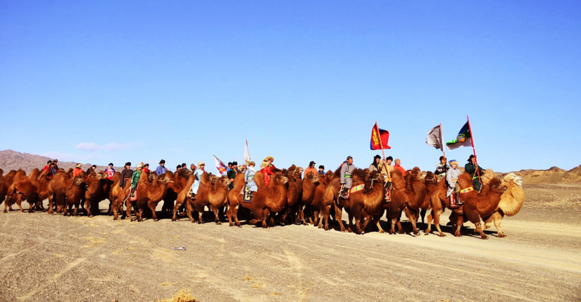 Thousand Camel Festival in the Gobi