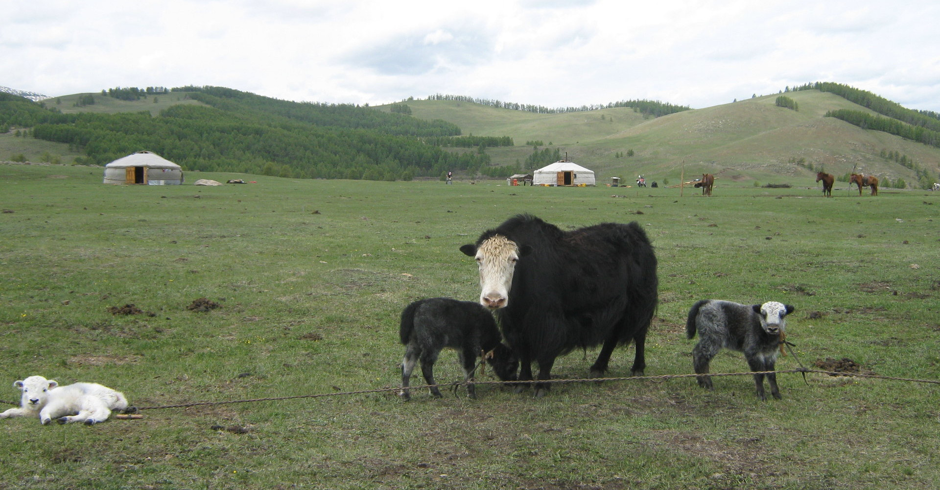 Baruunbayan-Ulaan