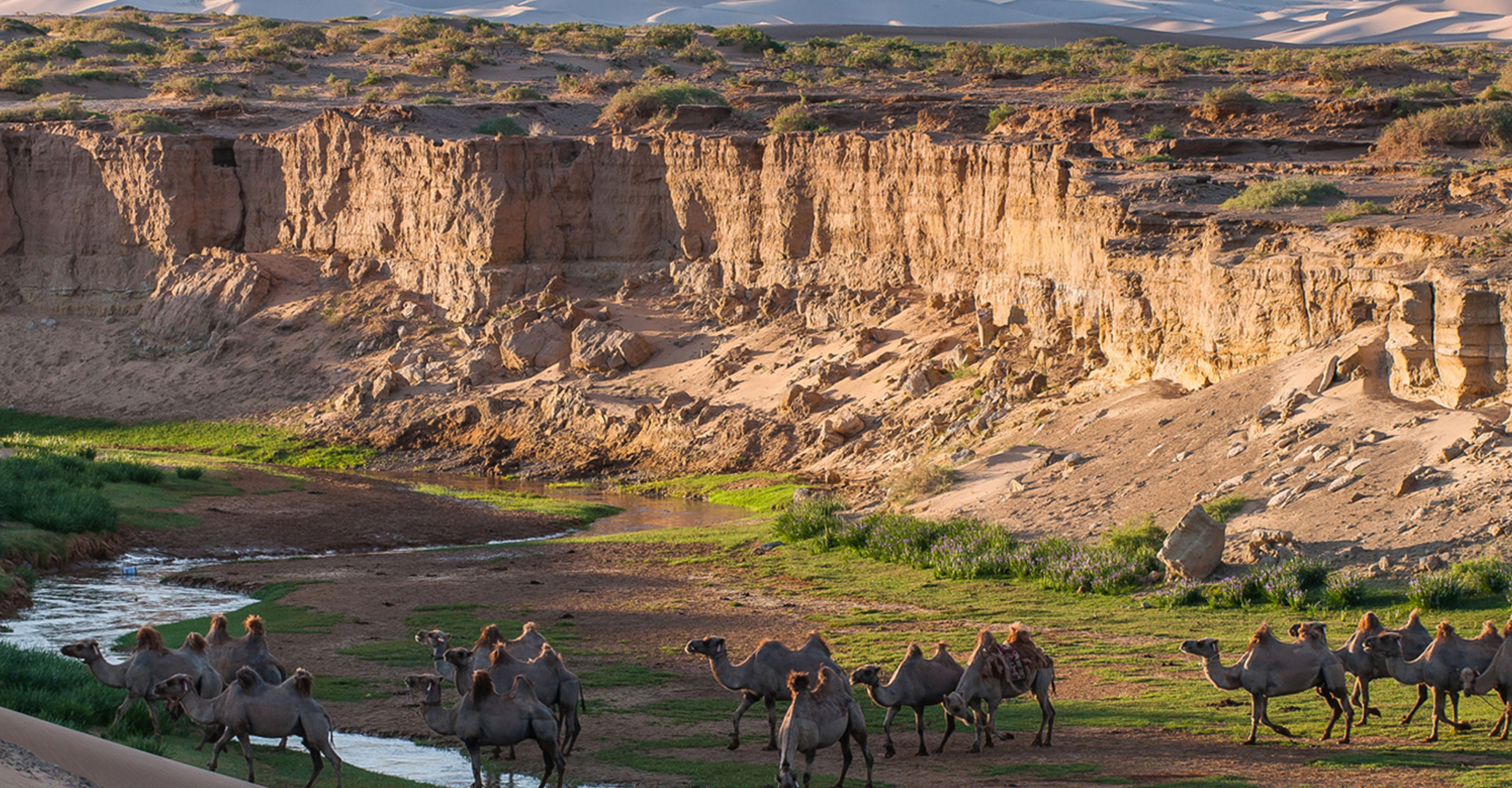 Saikhan-Ovoo