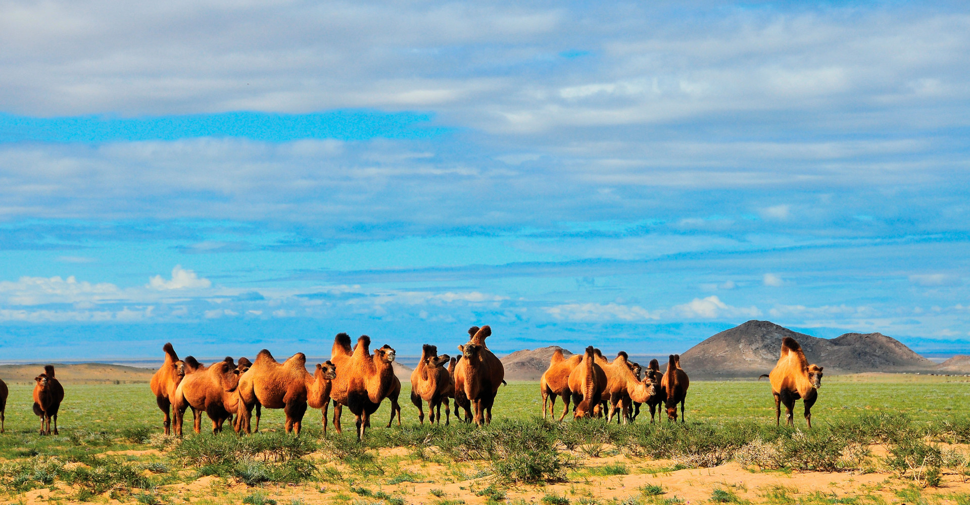 Bayan-Ovoo